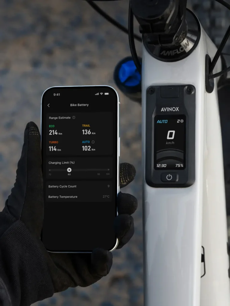 Amflow Battery Care